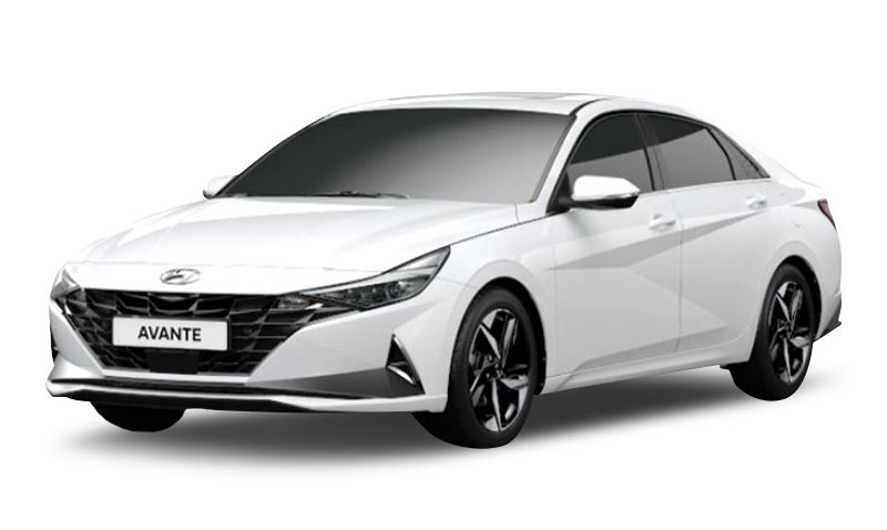 폴라 화이트 익스테리어